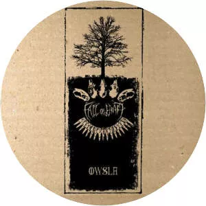 Fall of Efrafa - Band