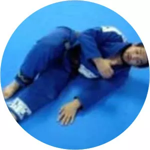 Falling Sideways - Book by Tom Holt