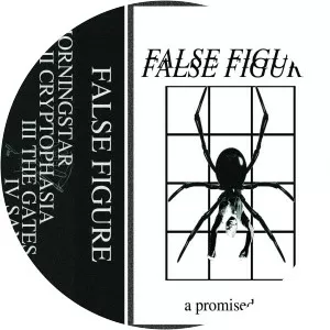 False Figure - Musical group