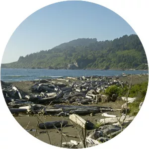 False Klamath Cove - 