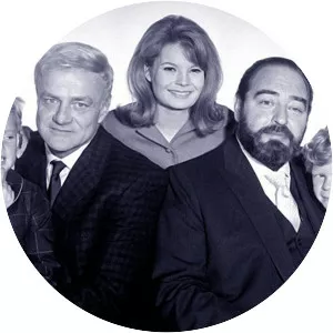 Family Affair - American sitcom