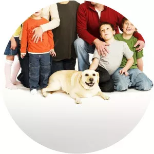 Family Renovation - Television program