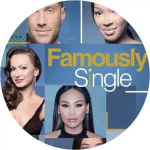 Famously Single - American television series