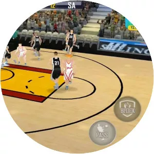 Fanatical Basketball - Video game