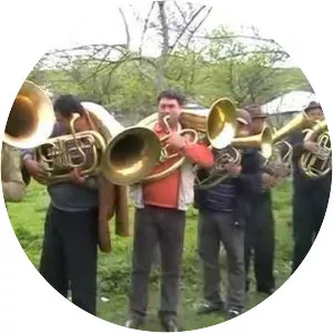 Fanfara de la Valea Mare - Musical group