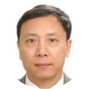 Fang Cai - Chinese politician