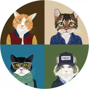 Fantastic Cat - Singer