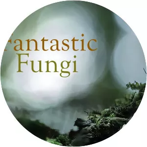 Fantastic Fungi