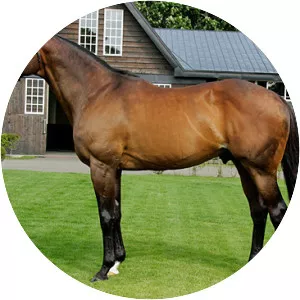 Fantastic Light - Horse