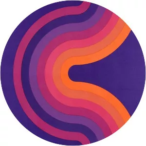 Fantastic Plastic Machine