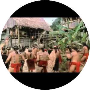 Farewell to the King