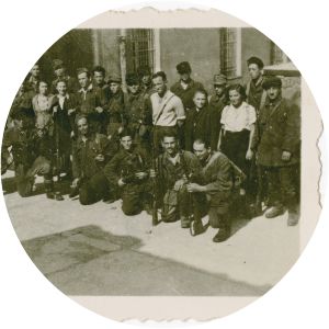 Fareynikte Partizaner Organizatsye