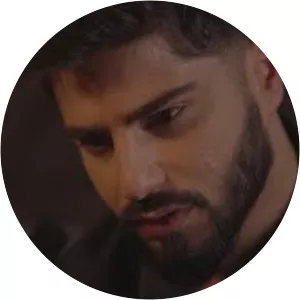 Farid Gasanov - Musical artist