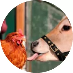 Farmer Parrs Animal World - 