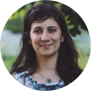 Farnoosh Fathi - Writer