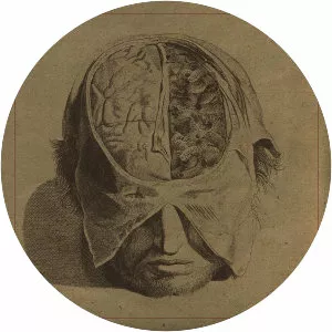 Farsot - Musical group