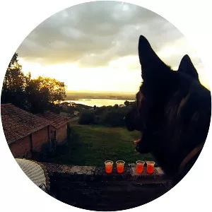 Fast Animals and Slow Kids