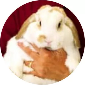 Fat Pets - Slimmer of the Year - TV program