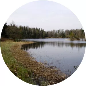 Fatburen - Lake in Sweden