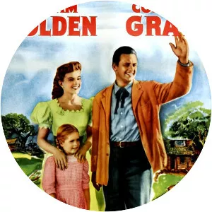 Father Is a Bachelor