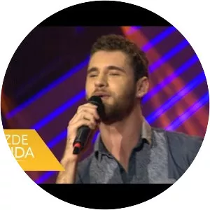 Fatmir Sulejmani - Musical artist