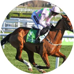 Faugheen