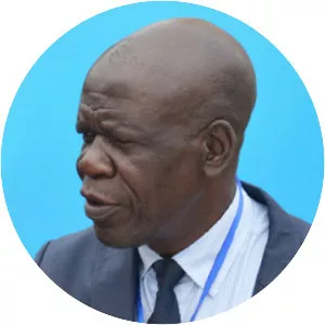 Faustin Birindwa - Politician