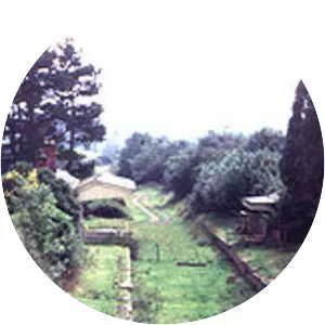 Fawley railway station