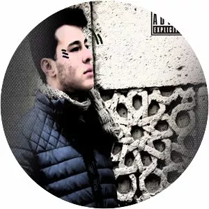 Fazlı Ölmez - Musical artist