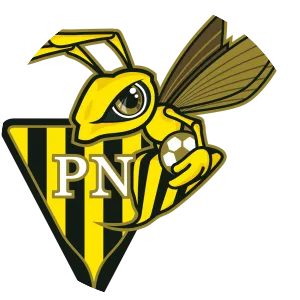 FC Progrès Niederkorn - Football club