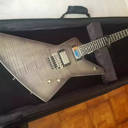 FD Guitars - Music store in Spain