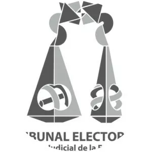 Federal Electoral Tribunal - 