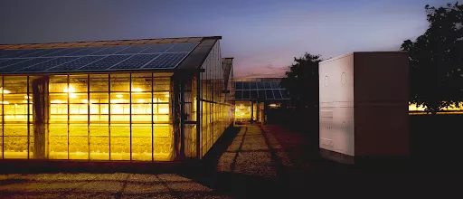 Feels Like Sun - Solar energy company in Stockholm, Sweden