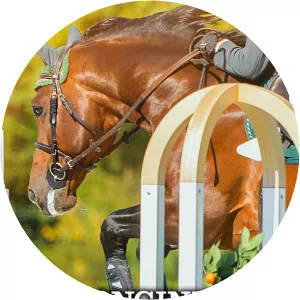 FEI European Championship Equestrianism - TV program