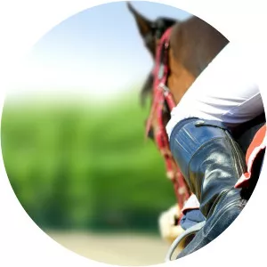 FEI World Equestrian GamesSince 2002