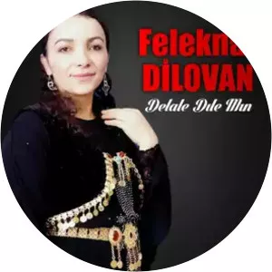 Feleknaz Dilovan - Musical artist