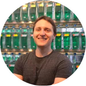 Felipe Dargent - Researcher