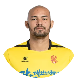 Felipe de Sousa Silva