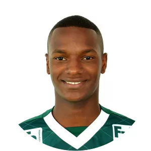 Felipe Saturnino Gomes