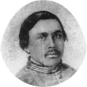 Felix Huston Robertson