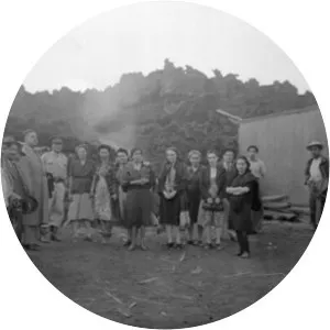 Félix Ireta Viveros