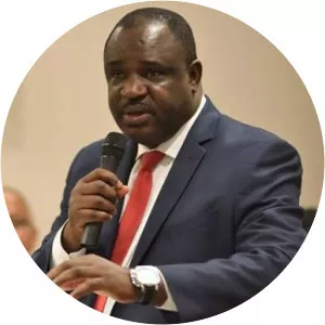 Felix Johnson Osakwe - Politician