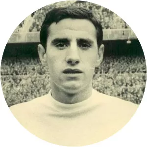 Félix Ruiz - Spanish footballer