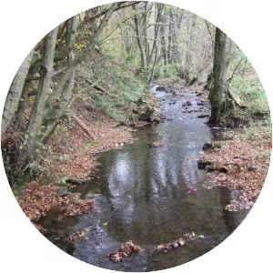 Feller Bach - Tributary in Germany
