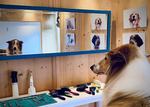 FellTRaum am Tegernsee - Pet groomer in Tegernsee, Germany