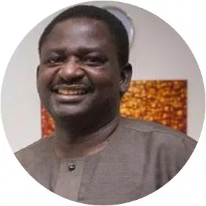 Femi Adesina