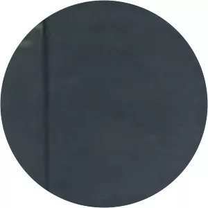 Feminism and Cultural Studies