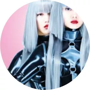 FEMM