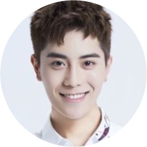 Feng Lijun - Musical artist