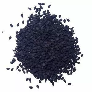 Fennel flower - Plants